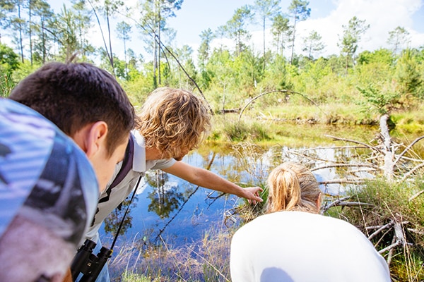 guide naturaliste lac d'hostens