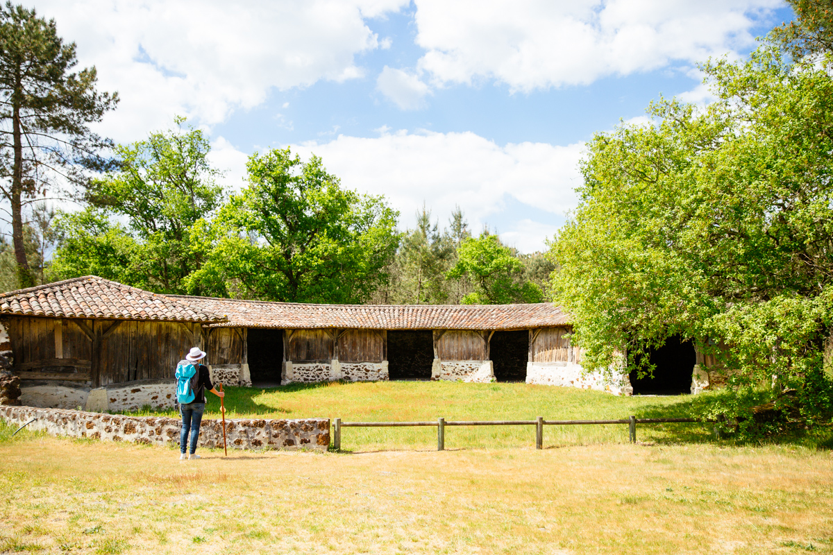 bergerie goualade sud gironde