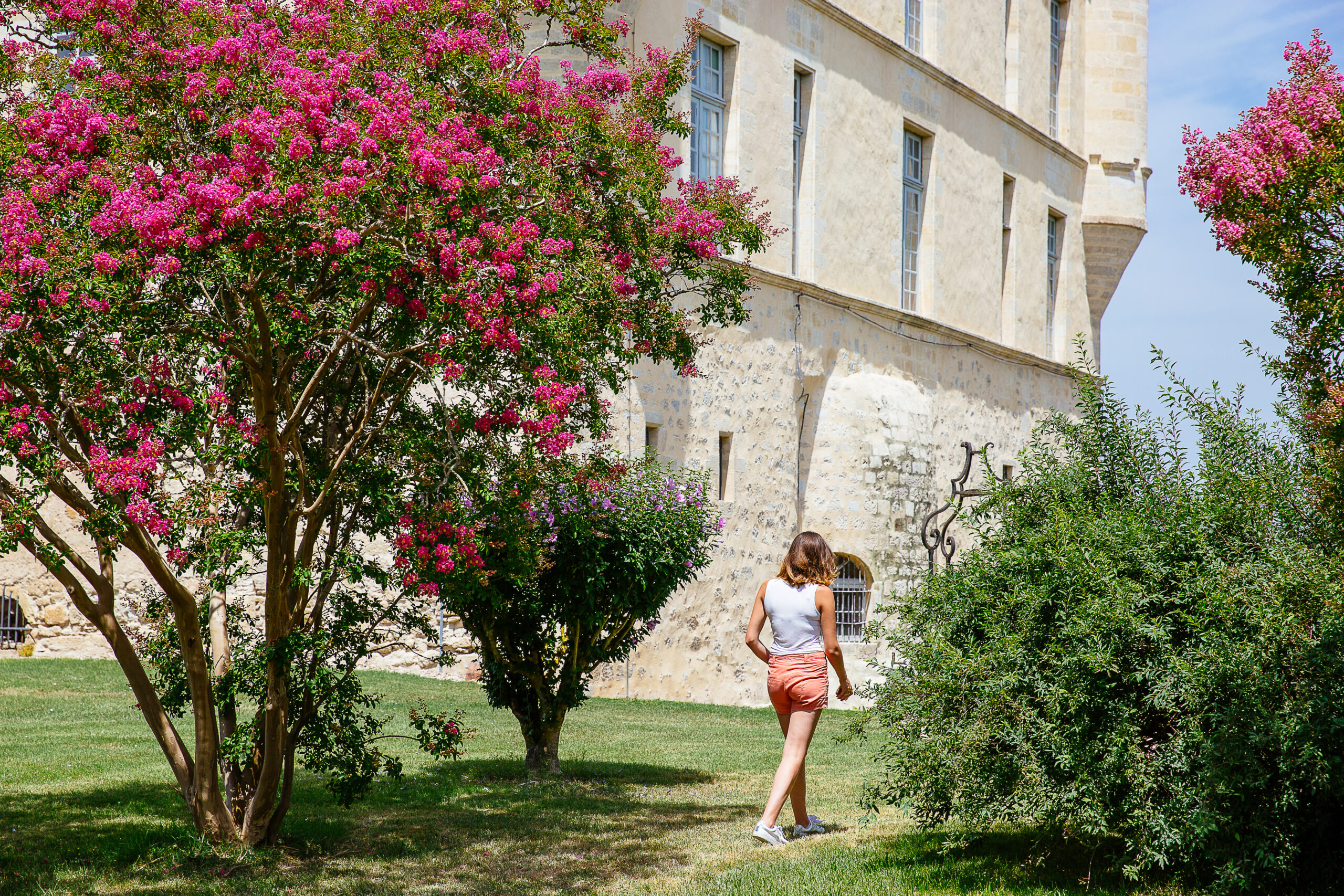 château du hamel castets-et-castillon