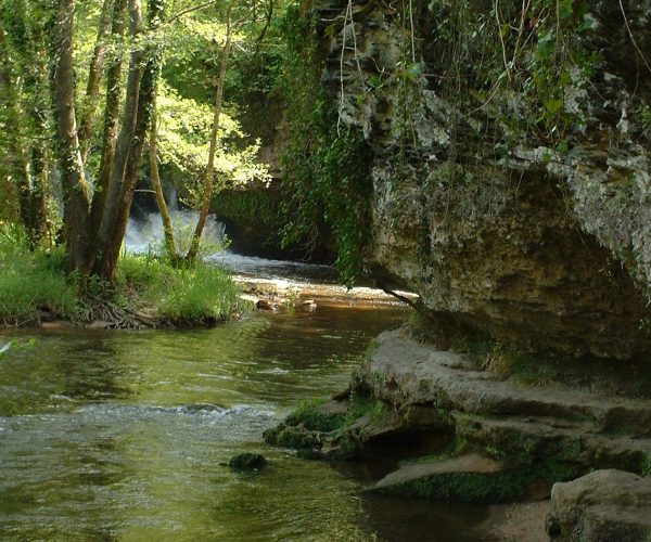 Les gorges du Ciron