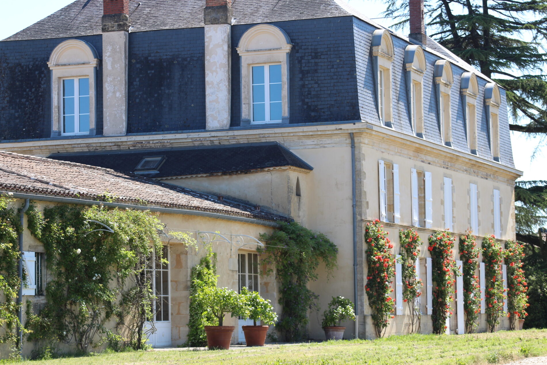 @ChâteauGuiraud_ClemencePLANTY le 06052020 (47)