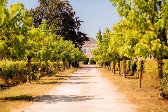 09.21.Sauternes-Barsac.CAILLOU-01DIVINOConseils