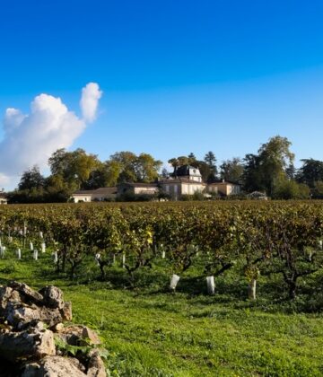 Vignoble de Barsac