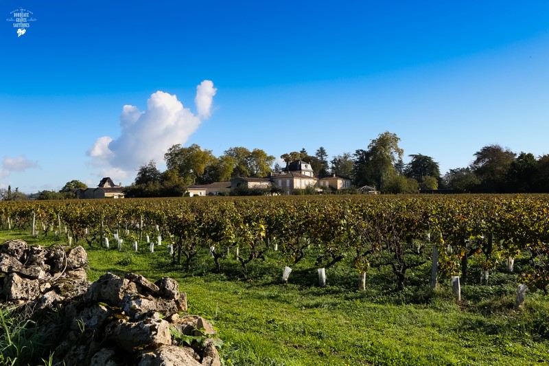 Vignoble de Barsac