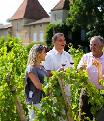 Excursion dans le vignoble