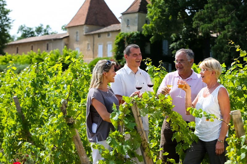 Excursion dans le vignoble