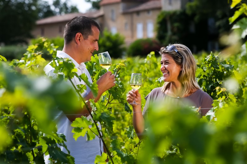 Dégustation dans le vignoble des Graves et du sauternais