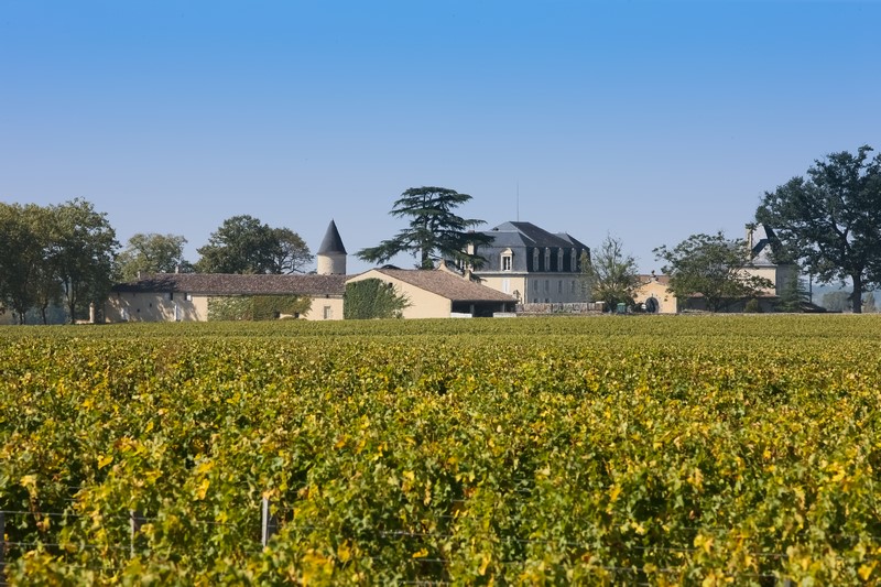 Vignoble de Barsac