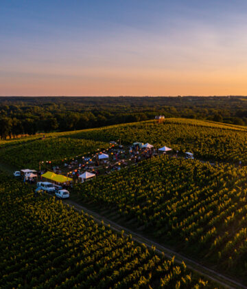 Aromes et paysages - Sauternes