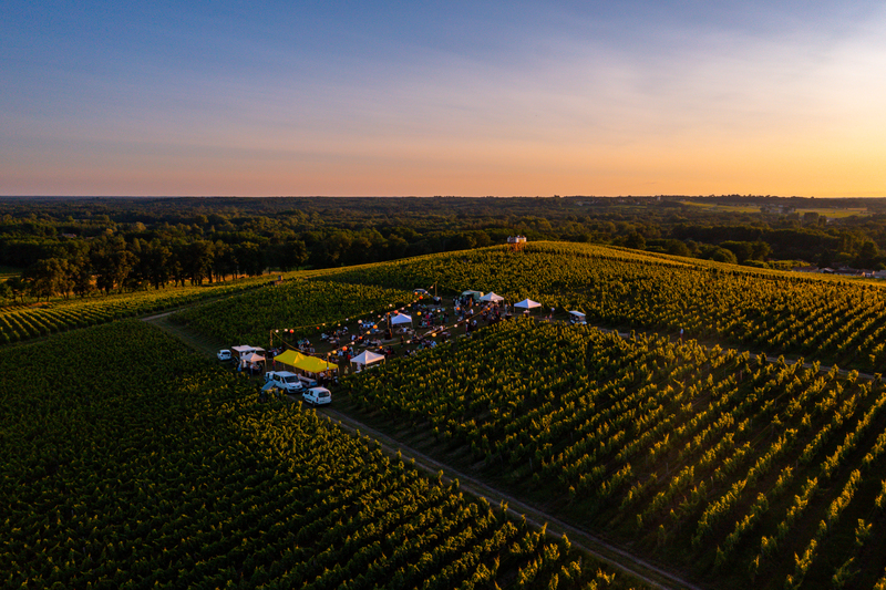 Aromes et paysages - Sauternes