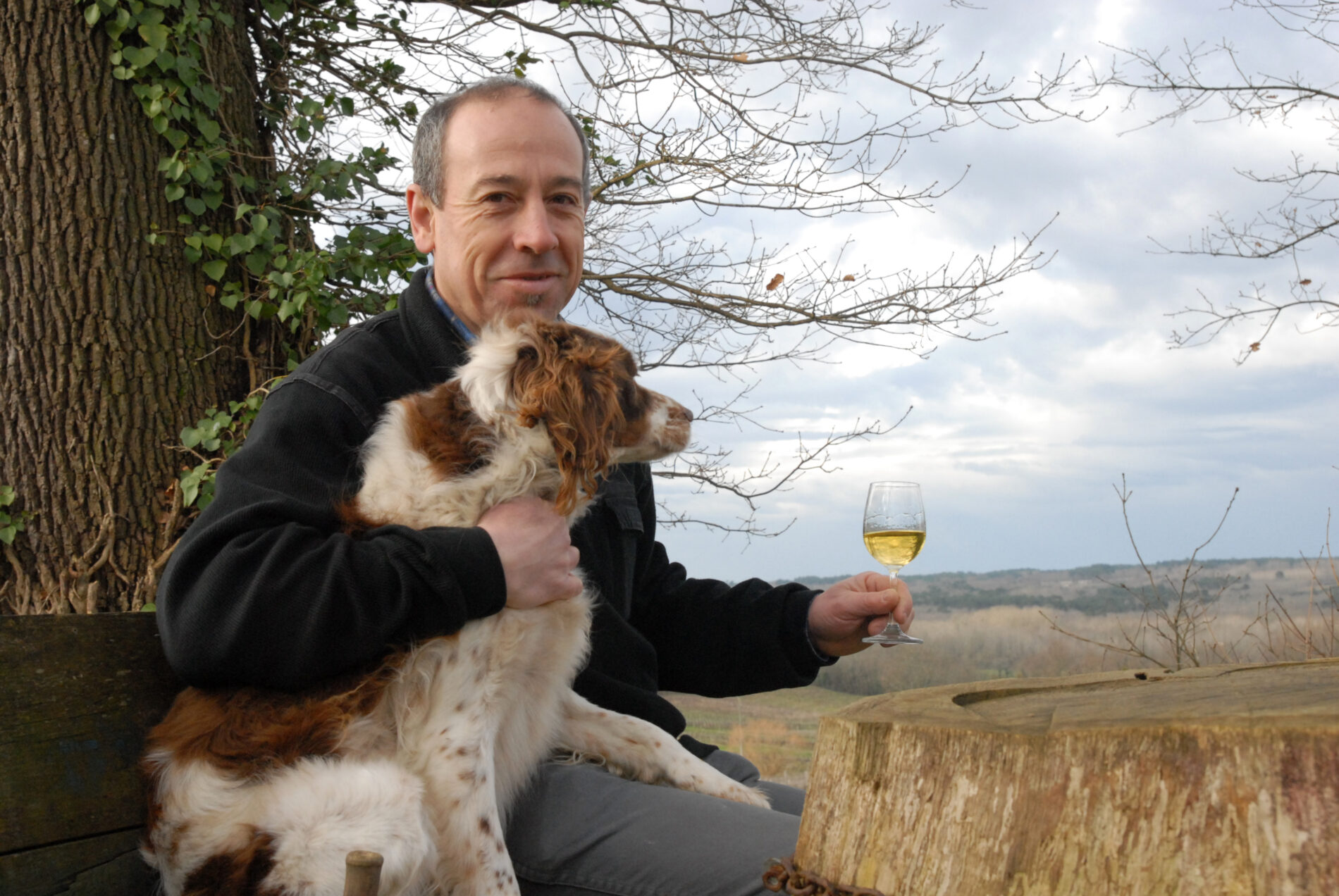 Château Lamothe Despujols - SAUTERNES - Sud-Gironde