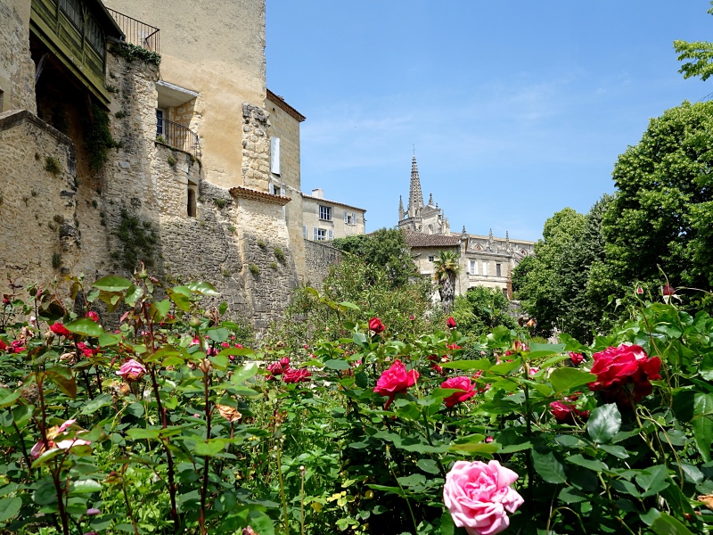 Bazas - Jardin du Sultan (5)