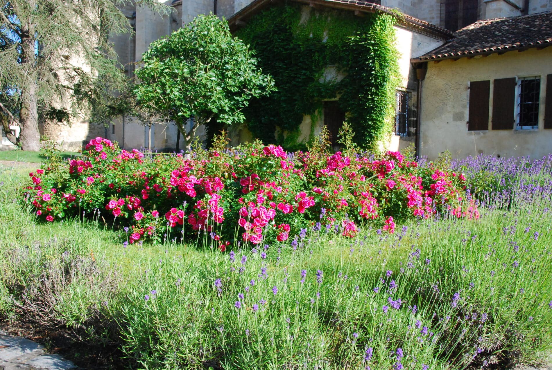 Bazas - Jardin du chapitre (2)