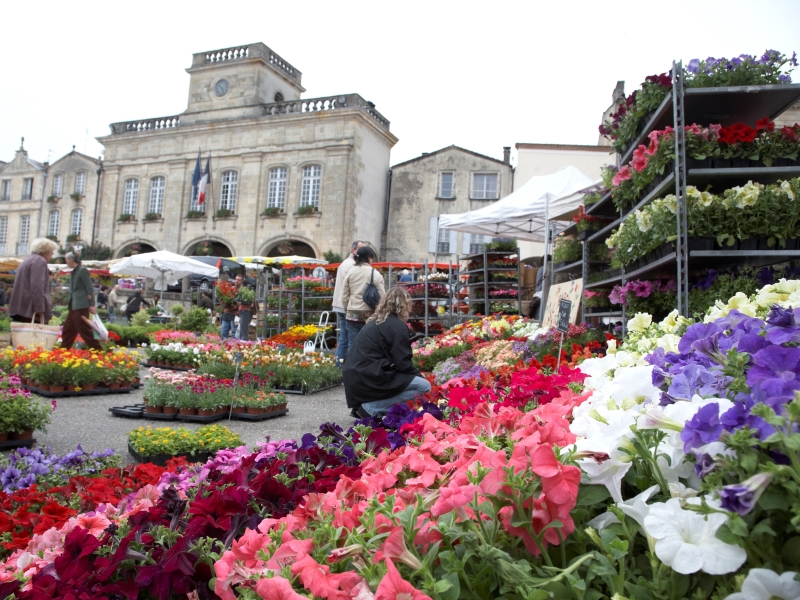 Bazas - marché aux fleurs