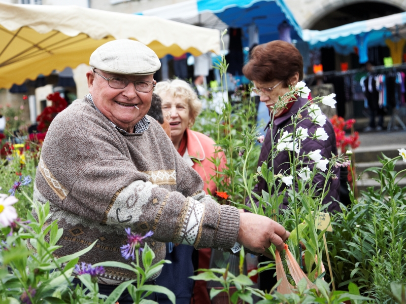 Bazas - marché aux fleurs1