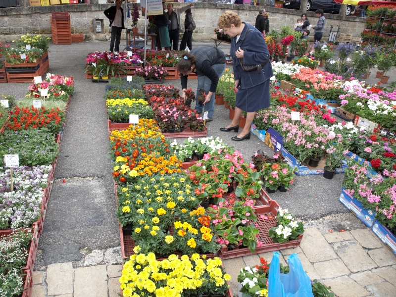 Bazas - marché aux fleurs2