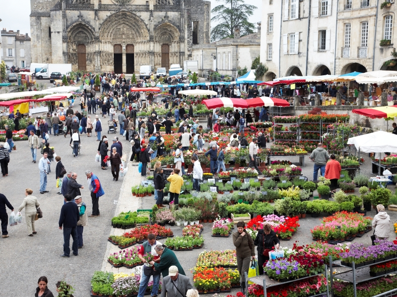 Bazas - marché aux fleurs3