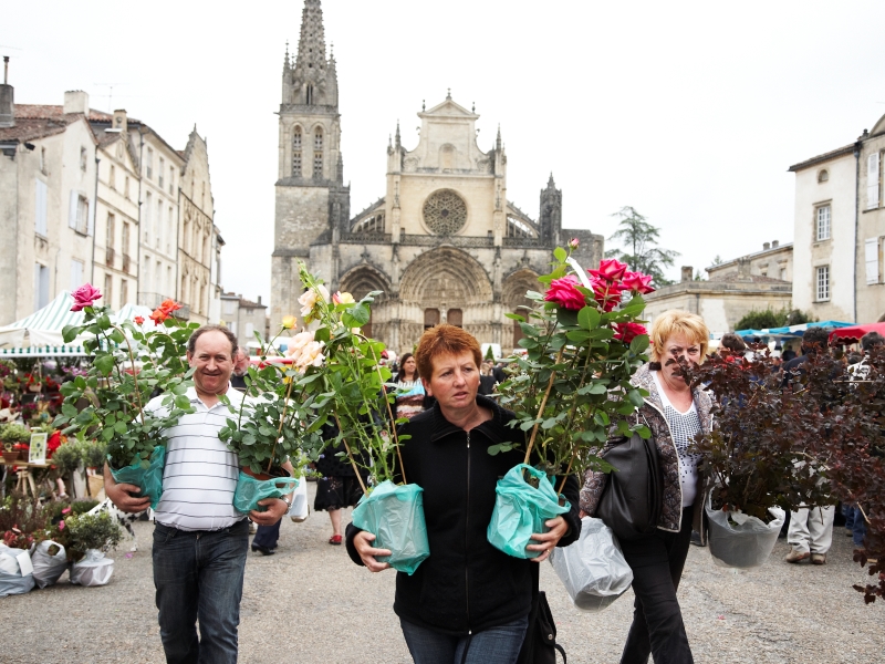 Bazas - marché aux fleurs4