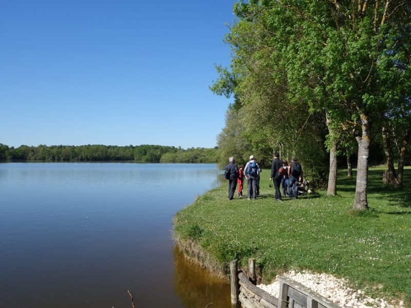 Bazas - sortie lac de la Prade