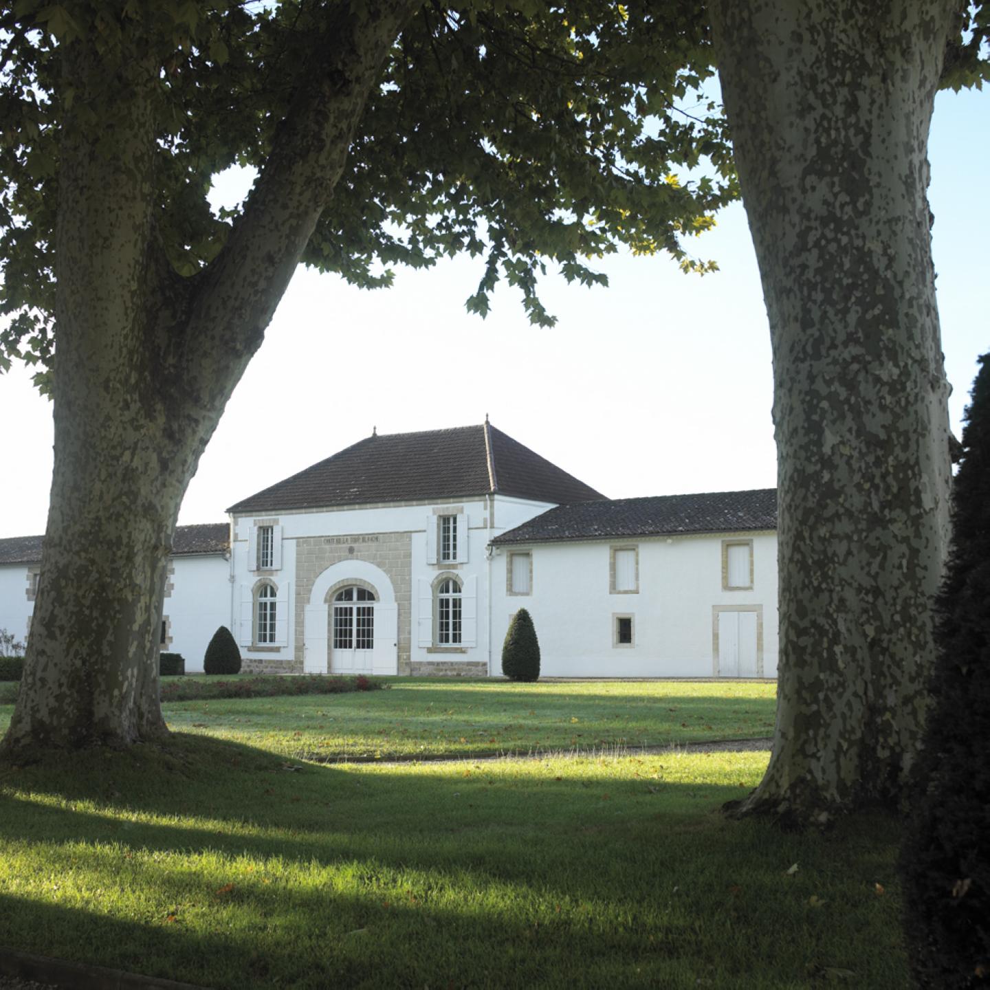 Château La Tour Blanche - BOMMES - Sud-Gironde