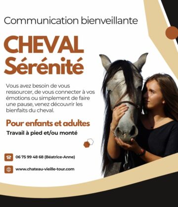 CHEVAL Sérénité Instagram - 1