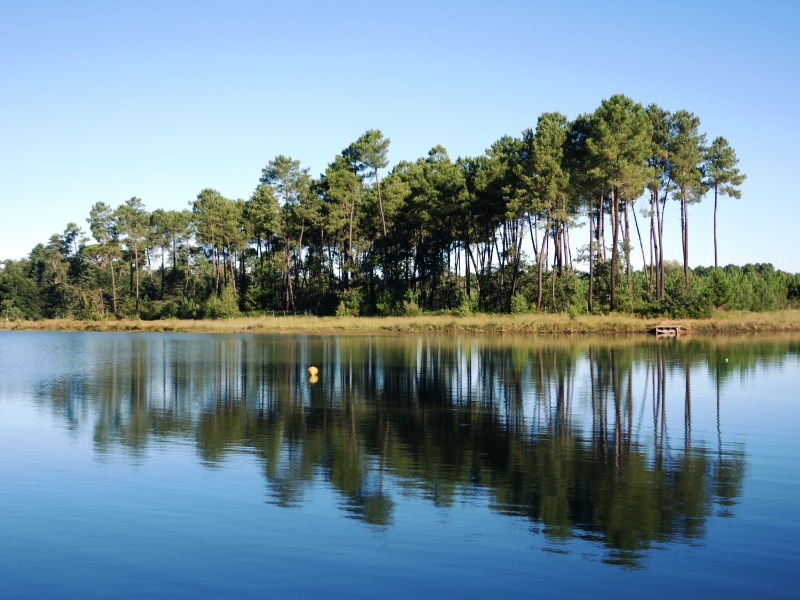 Captieux - Lac de Taste - ph. Elodie F (4)