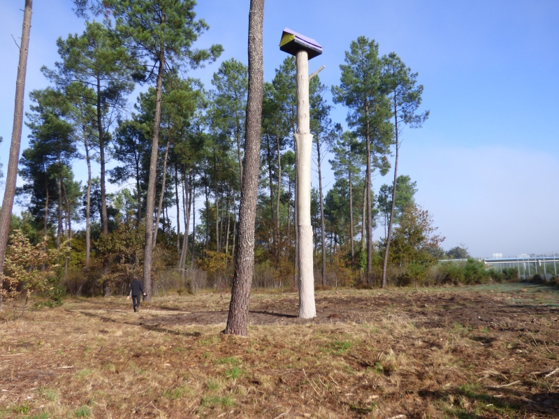 Captieux - le Pavillon - Forêt d'art contemporain (1)