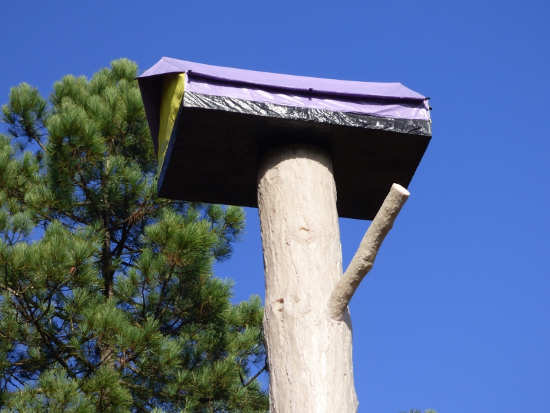 Captieux - le Pavillon - Forêt d'art contemporain (3)