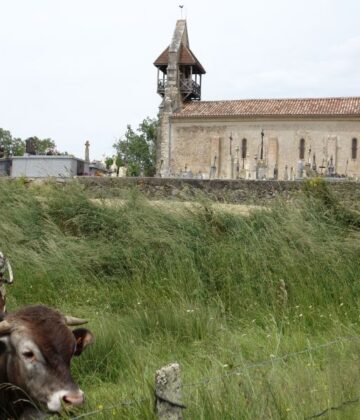 Cazats - église - ph. Cathy F