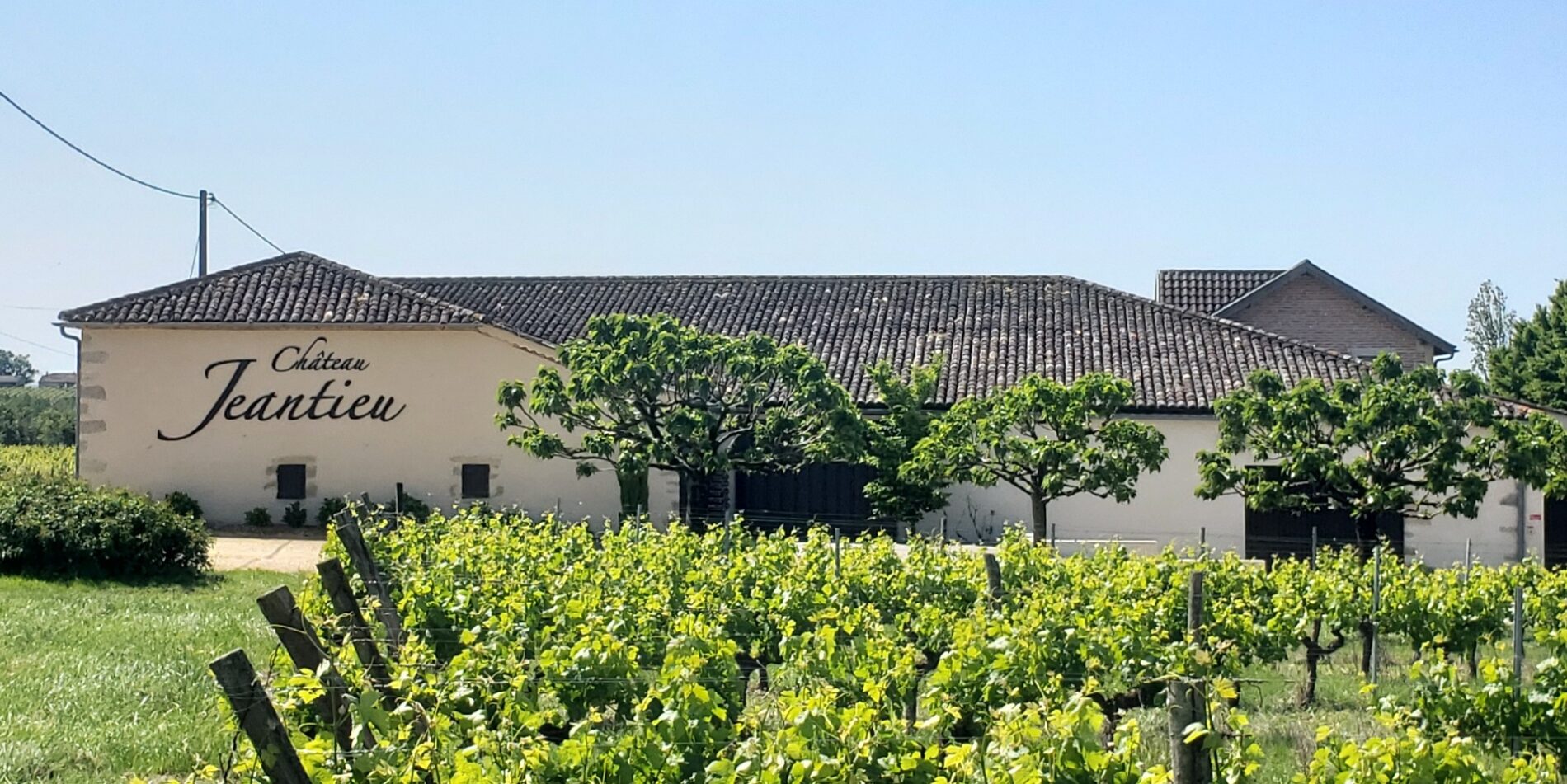 Château Jeantieu - SAINT-ANDRÉ-DU-BOIS - Sud-Gironde