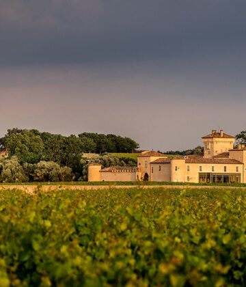 Château Lafaurie Peyraguey - BOMMES - Sud-Gironde