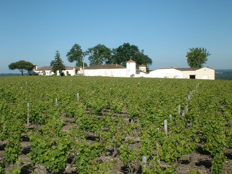 Château Lamothe Guignard - SAUTERNES - Sud-Gironde