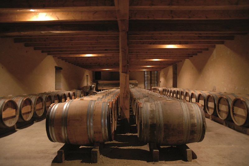 Château Lamothe Guignard - SAUTERNES - Sud-Gironde