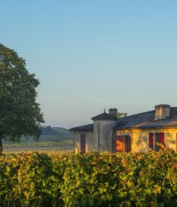 Château Sigalas Rabaud - BOMMES - Sud-Gironde