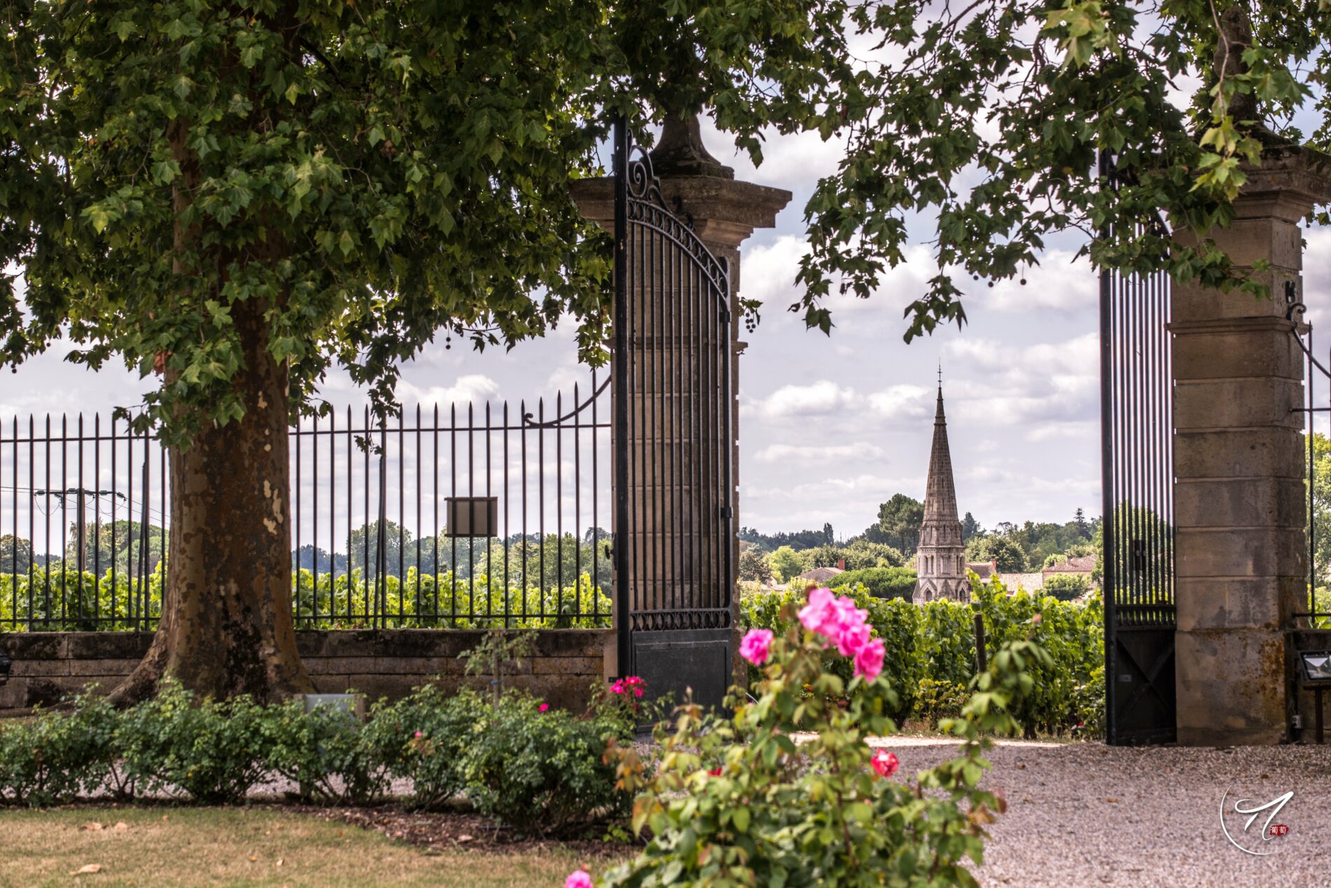 Château d'Arche - SUD-GIRONDE - Sauternes