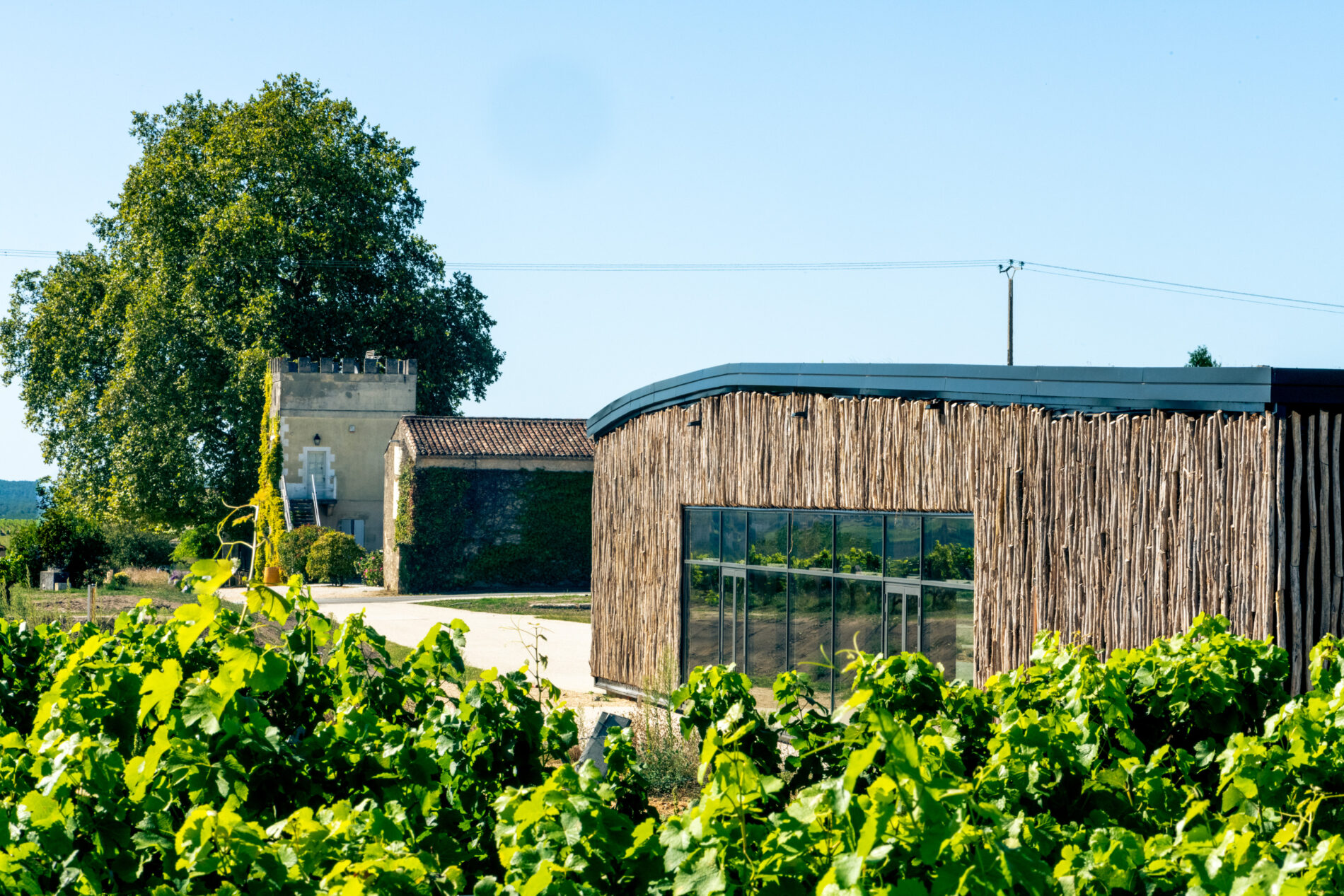 Château d'Arche - SUD-GIRONDE - Sauternes