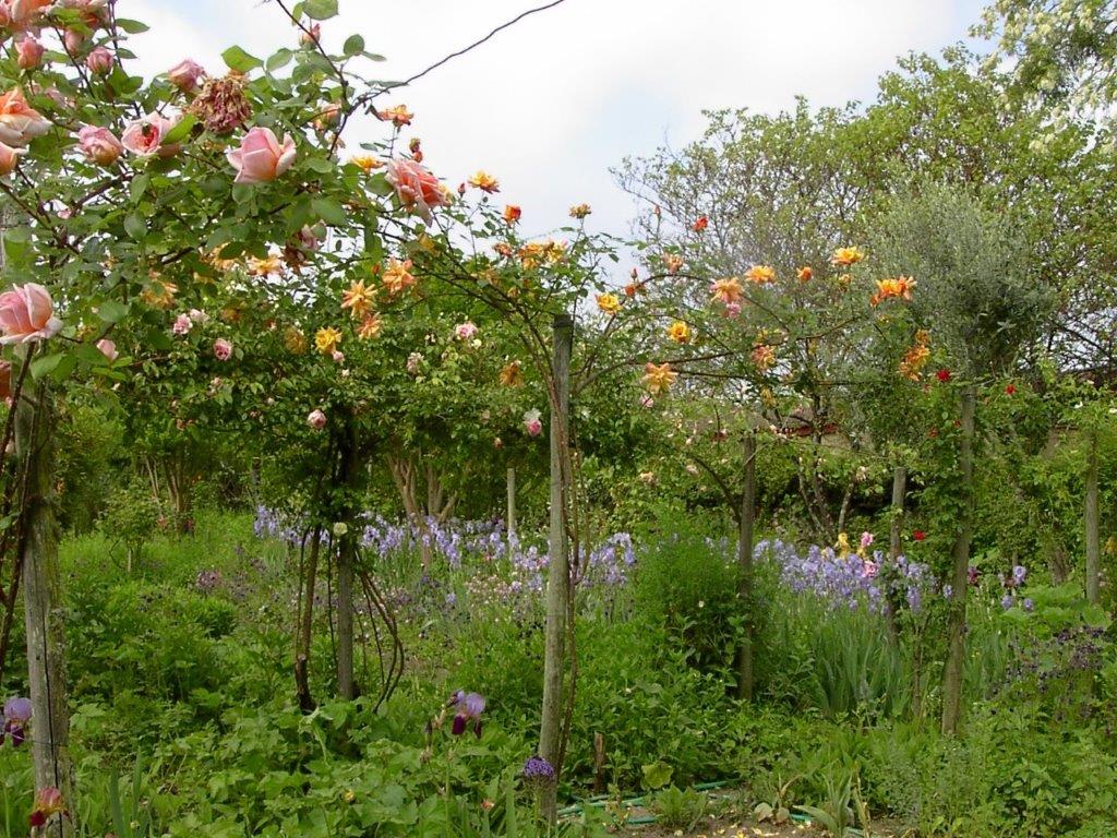 Château de Mongenan - jardins d'utilité