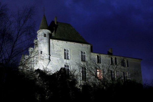 Château du Hamel