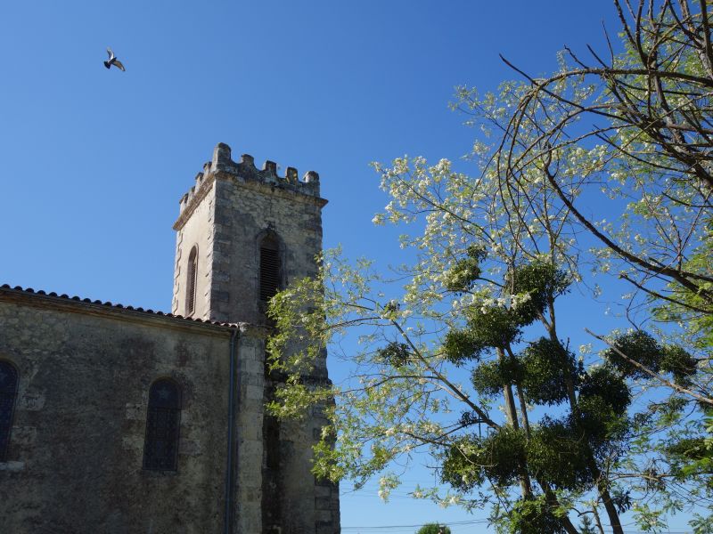 Cours les bains - église - ph. Elodie F (9)