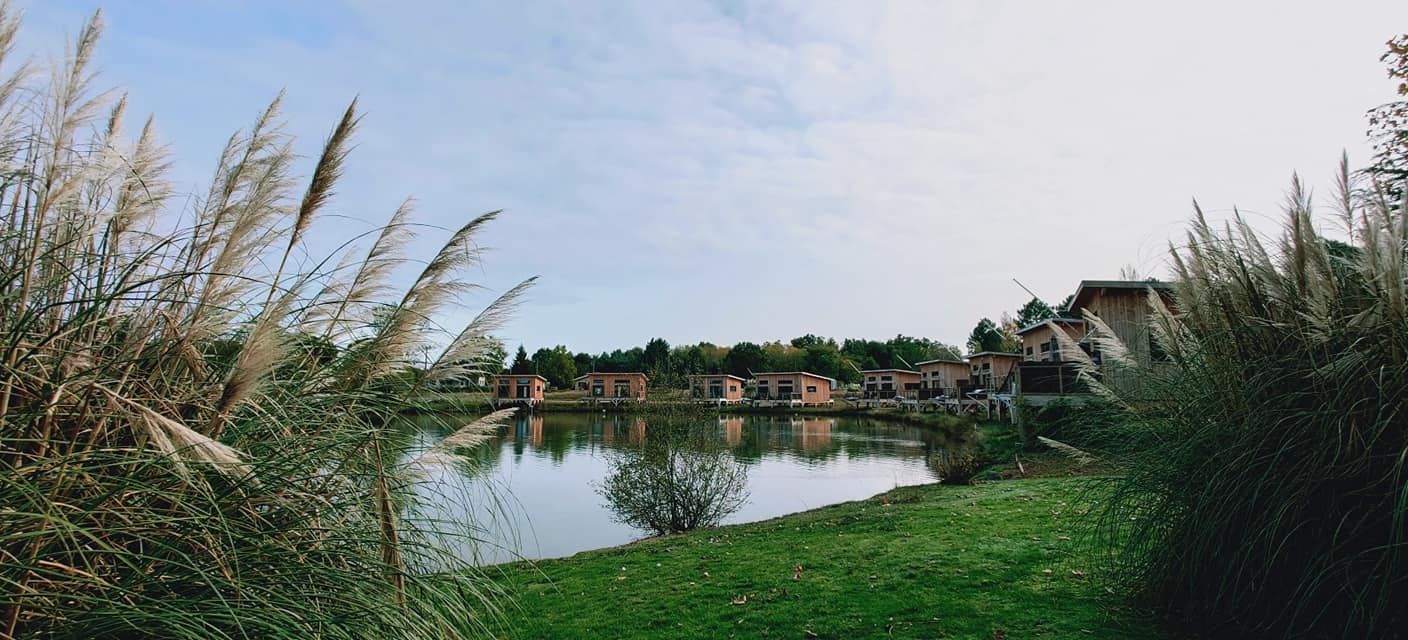 Ecolodges des Graves et du Sauternais - SAINT-PARDON-DE-CONQUES - Sud-Gironde