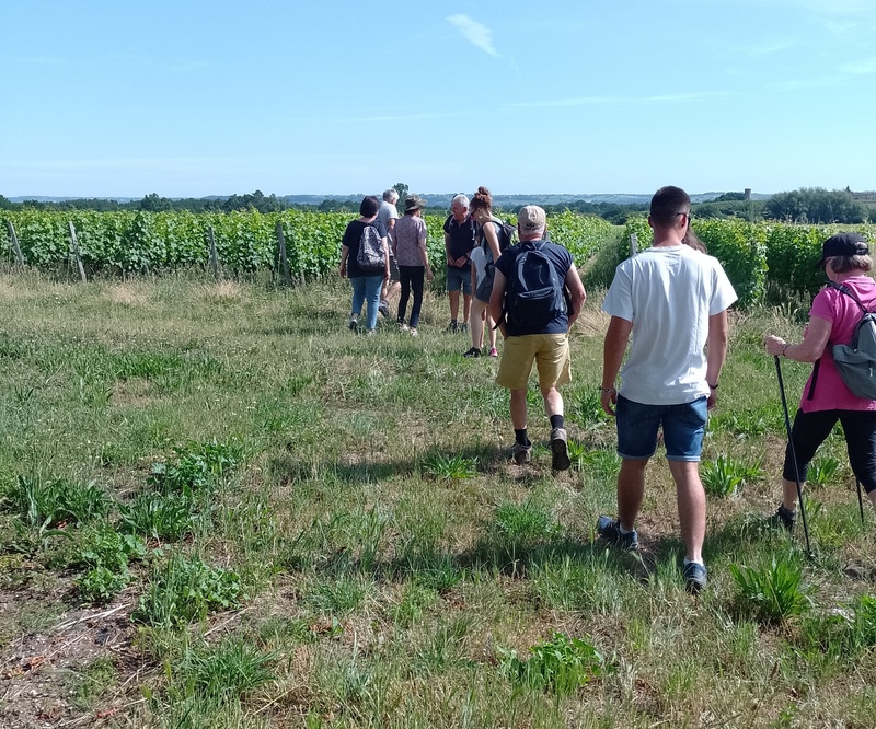 Escapade vigneronne au Château Haut-Claverie