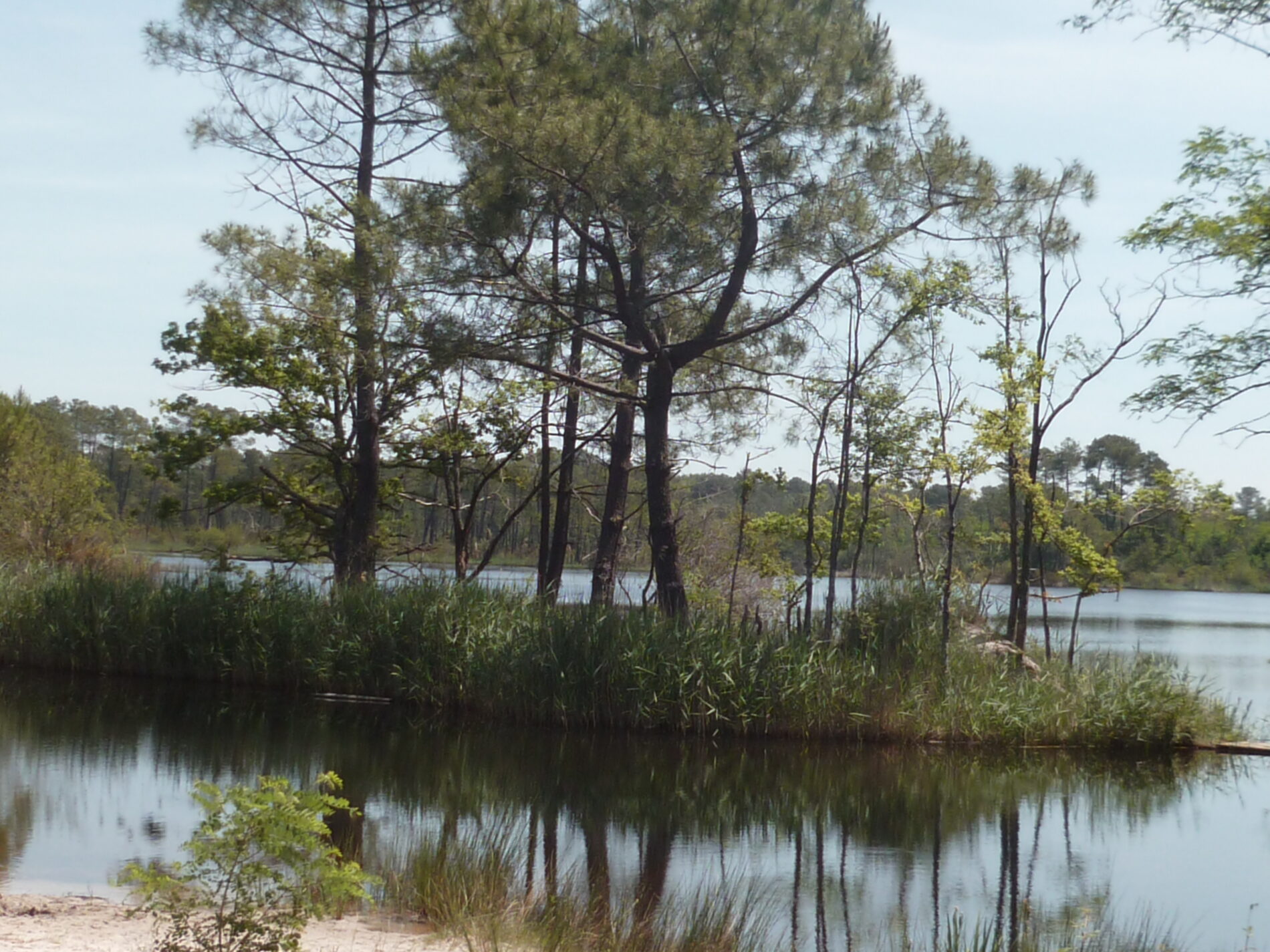 Gîte Arino - HOSTENS - Sud-Gironde