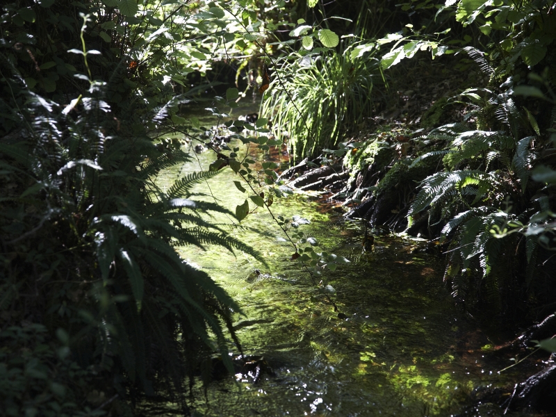 Goualade - ruisseau de Goualade