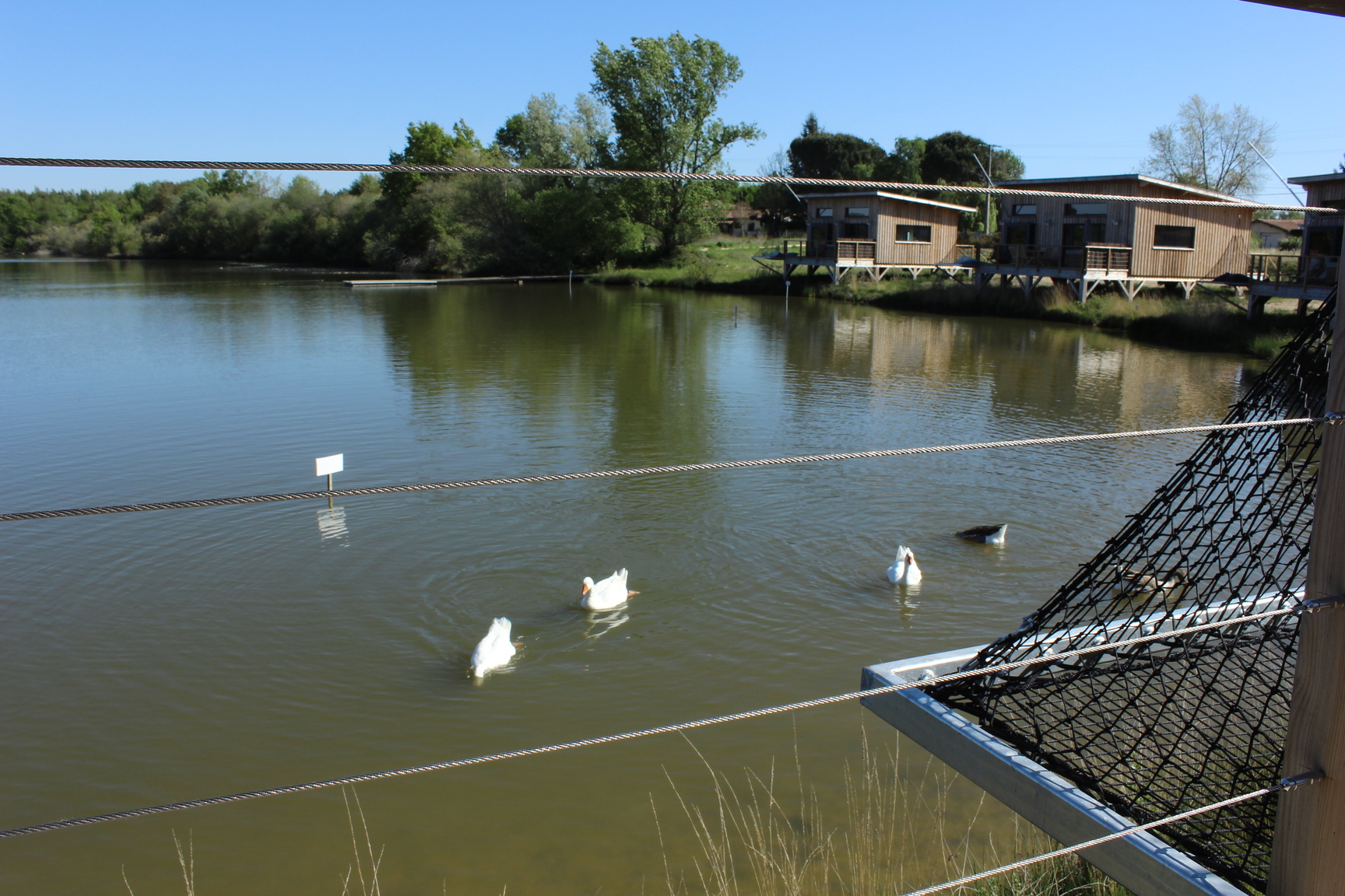 La Paloumayre - Ecolodges - SAINT-PARDON-DE-CONQUES - Sud-Gironde