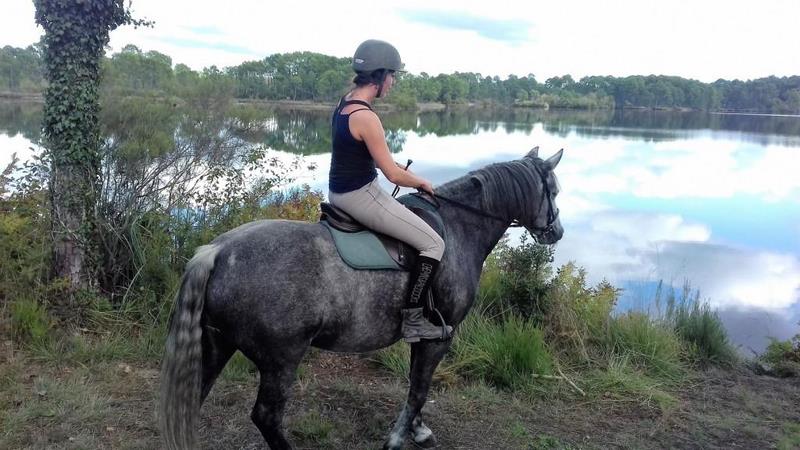 Les Ecuries du Lac d'Hostens - HOSTENS - Sud-Gironde