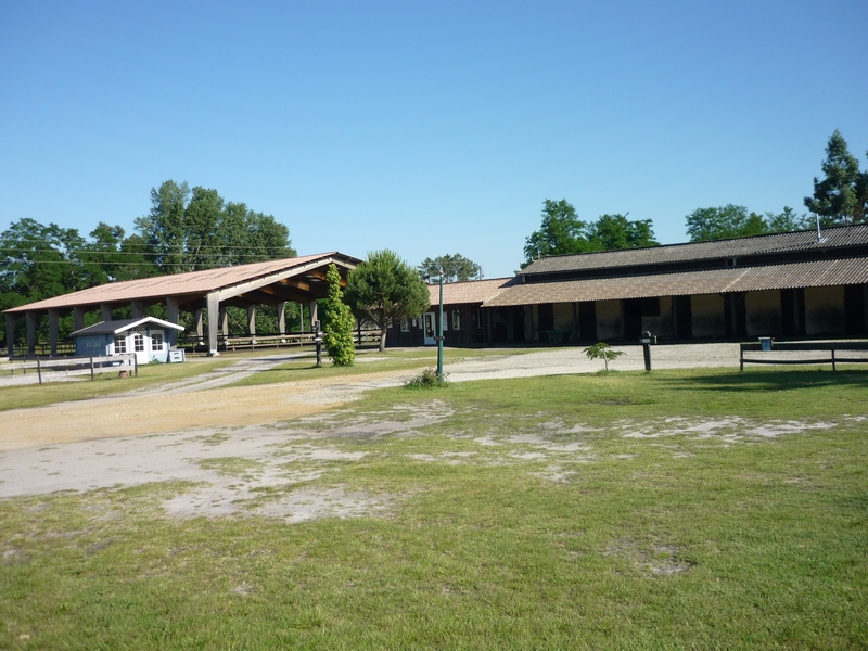 Les Ecuries du Lac d'Hostens - HOSTENS - Sud-Gironde