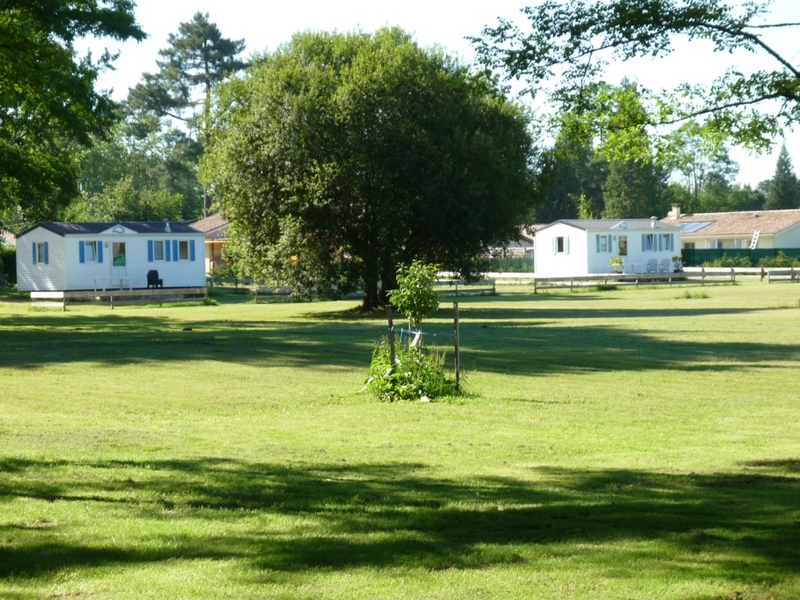 Les Ecuries du Lac d'Hostens - HOSTENS - Sud-Gironde