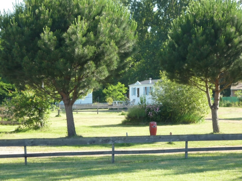 Les Ecuries du Lac d'Hostens - HOSTENS - Sud-Gironde