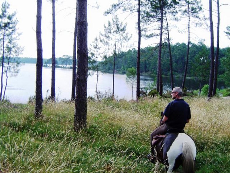 Les Ecuries du Lac d'Hostens - HOSTENS - Sud-Gironde