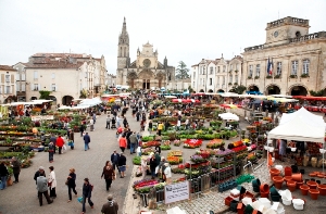 Marché aux fleurs de Bazas